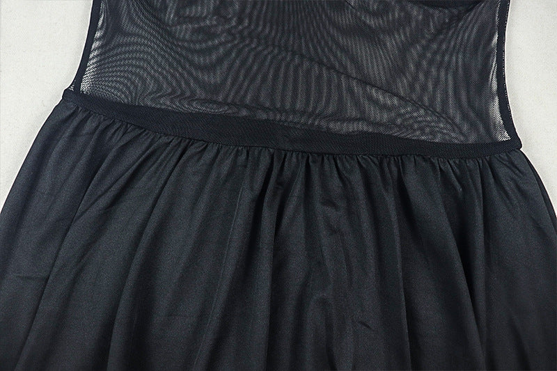 See Through Mini Dress