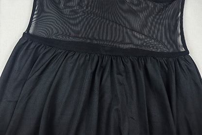 See Through Mini Dress